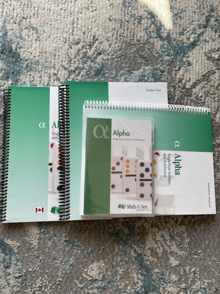 Math curriculum for second grader in our homeschool