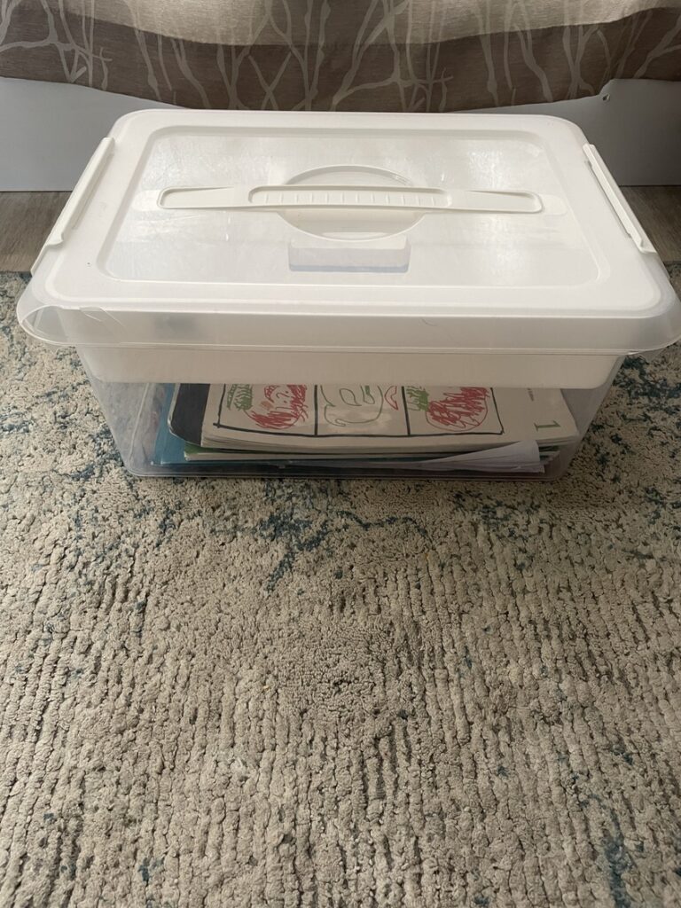 bins to help with homeschooling and time management